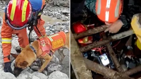 A dog digs through rubble, while men in orange hard hats look down a mine shaft.